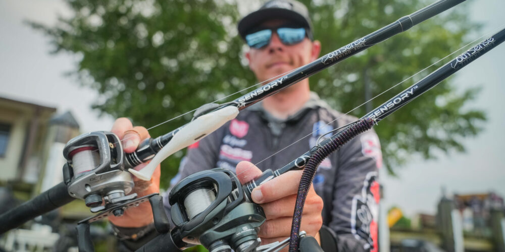 Image for Top 10 baits and patterns from the Potomac River