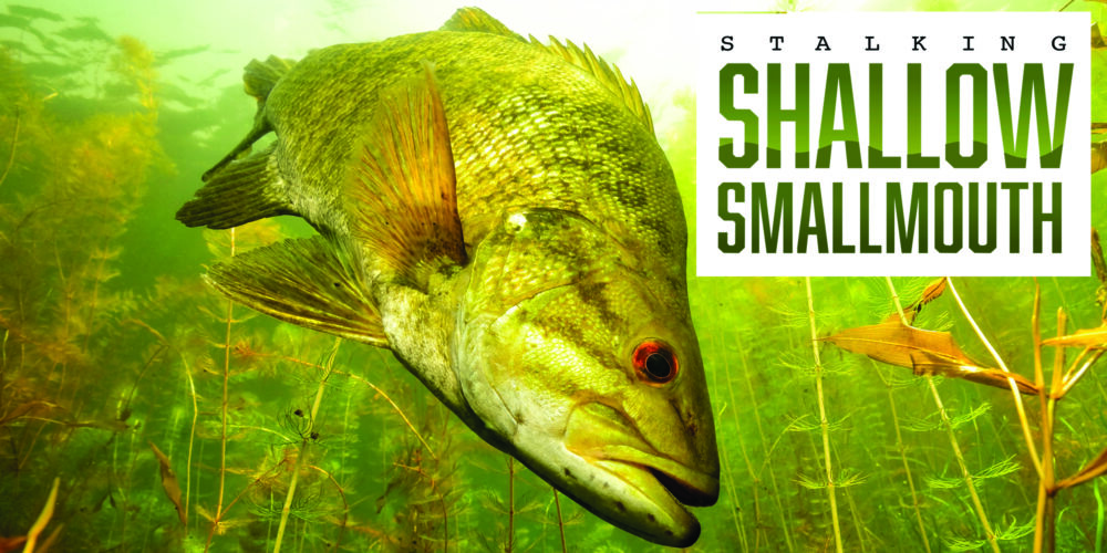 Image for ‘Go deep’ and ‘drop-shot’ aren’t always the rules for targeting smallmouth in the summer 