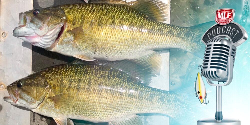 Image for Podcast: How Alabama bass threaten smallmouth and largemouth and why you shouldn’t move them