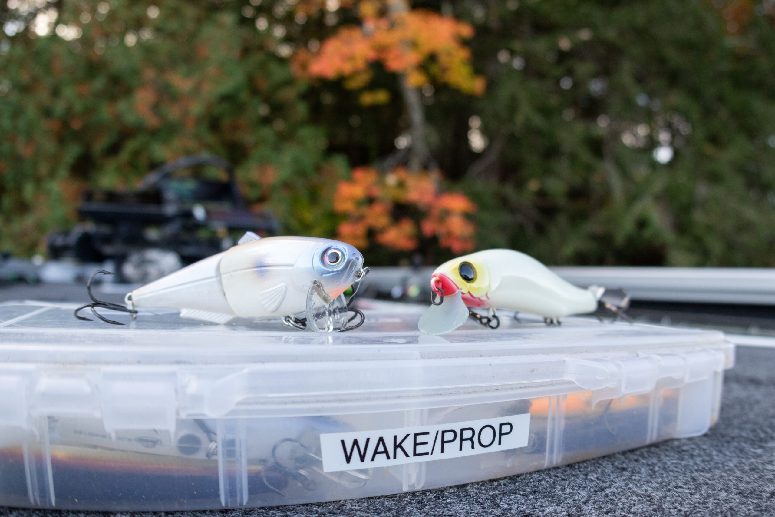 Wake up to the power of wakebaits - Major League Fishing