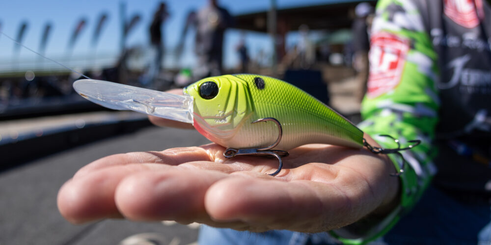 Vintage Crankbait Bait Fishing Lure: Micro Sized Ugly Duckling