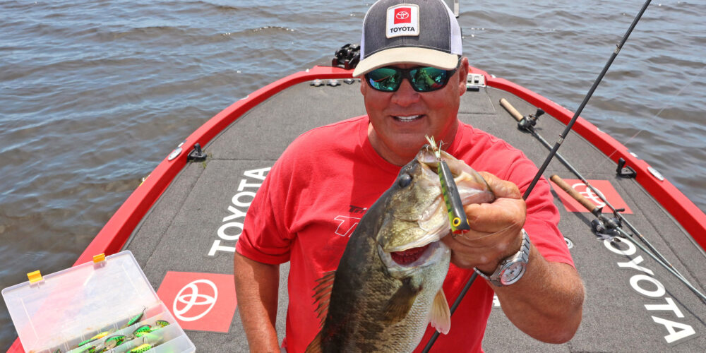 Image for Scroggins is at home with fire tiger on the Chowan