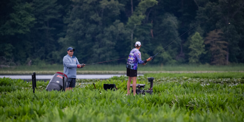 Image for ‘Frog fest’ in store for upcoming BFL on Potomac River