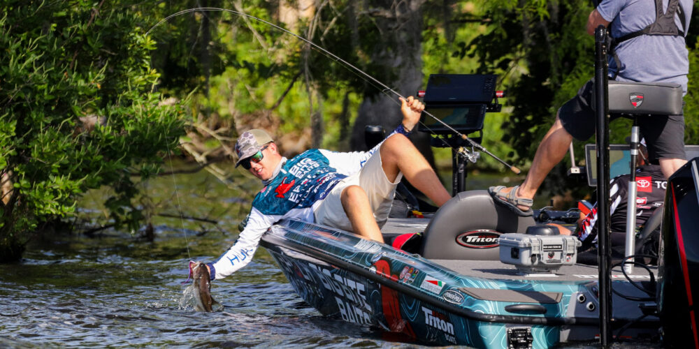 Image for Top 10 baits from the Chowan River