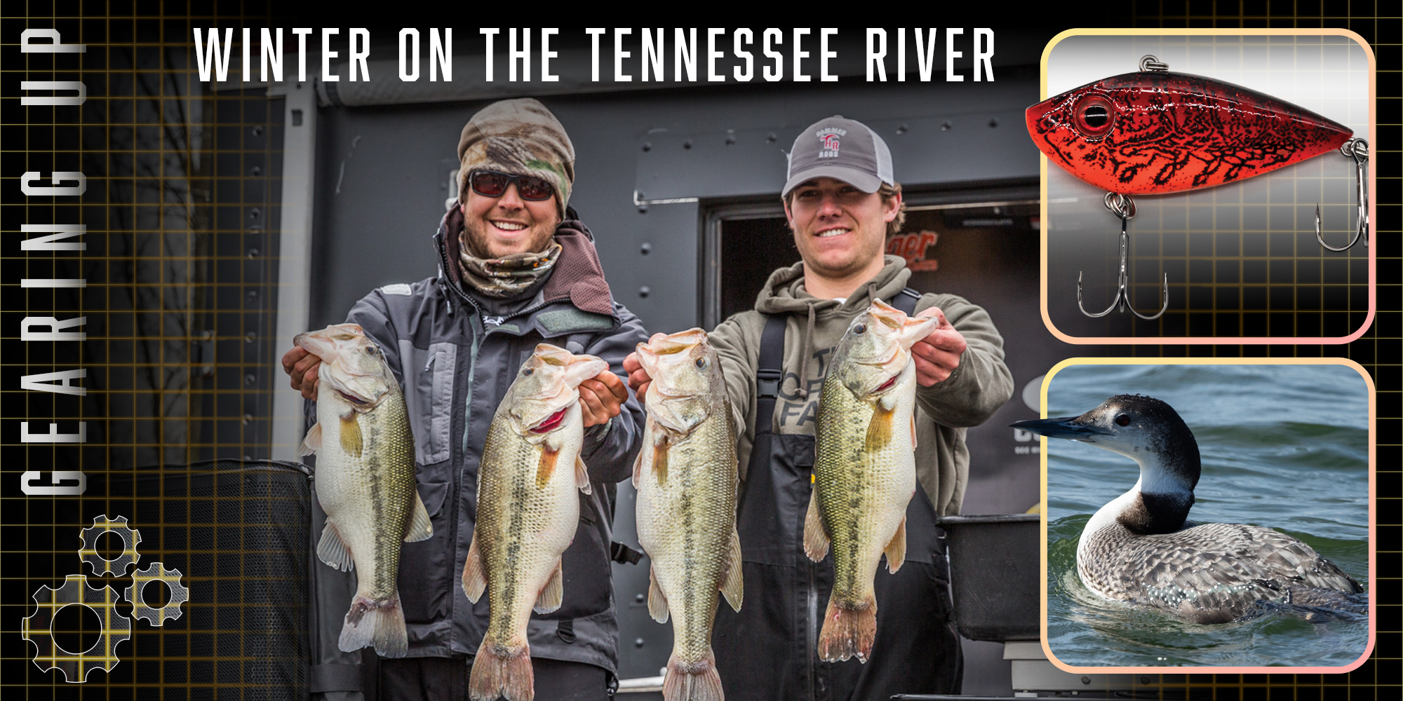 Tacklebox essentials for the start of the tournament season - Major League  Fishing
