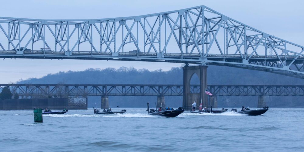 Image for Wintertime slugfest on tap at Pickwick