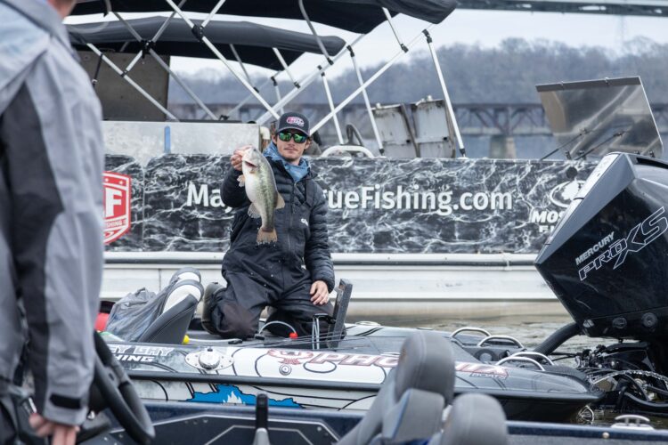 Image for GALLERY: Pickwick shows out again on Day 2