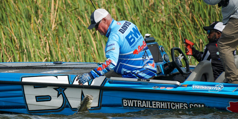 Image for Davis tops Knockout Round on Harris Chain, Top 10 set for Championship Round