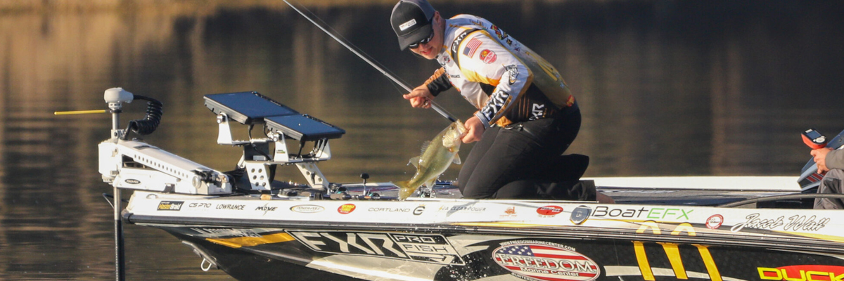 MLF Jacob Wall