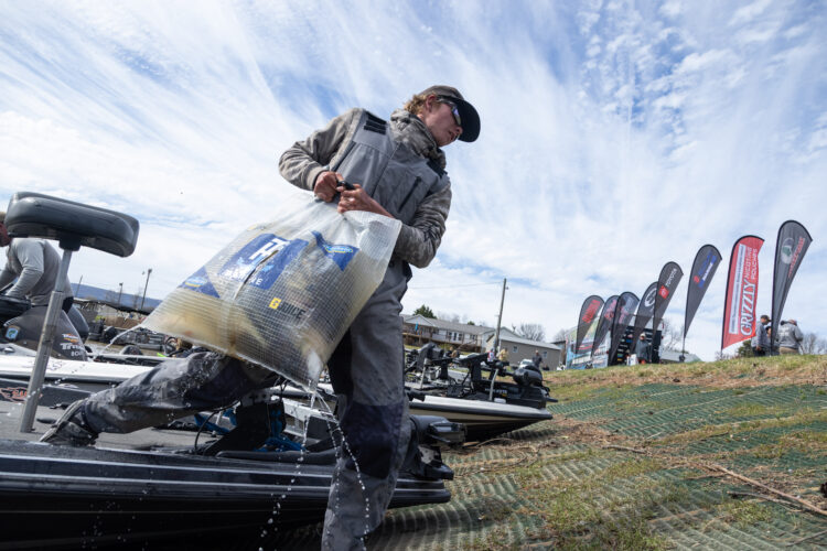 Image for GALLERY: Hawgs galore at weigh-in in Dayton
