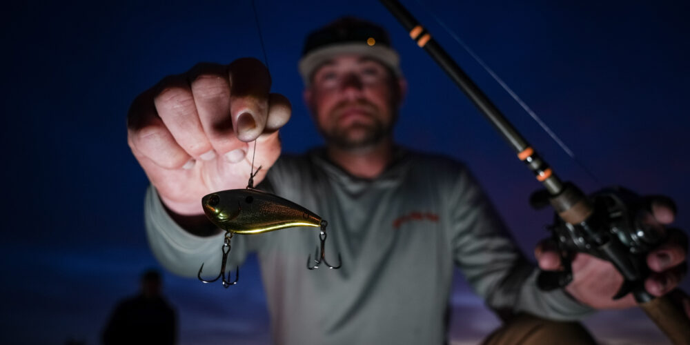 Image for Top 10 baits from the Harris Chain