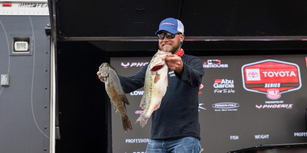 Image for Patoka BFL shaping up to be battle between green and brown