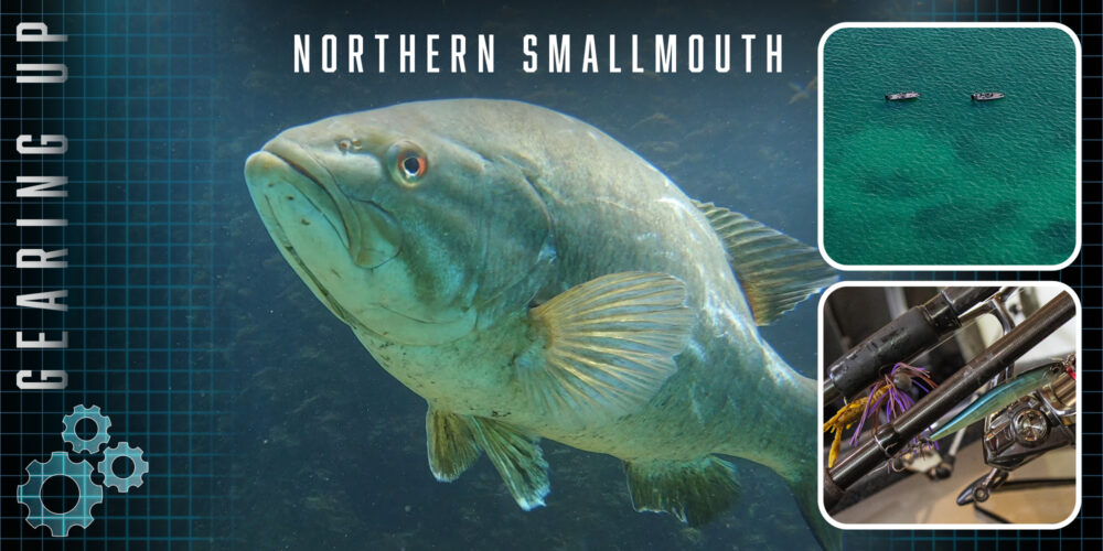 Image for Key baits for smallmouth bass this summer