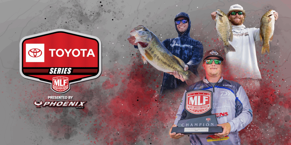 Image for 2026 Toyota Series signups now open