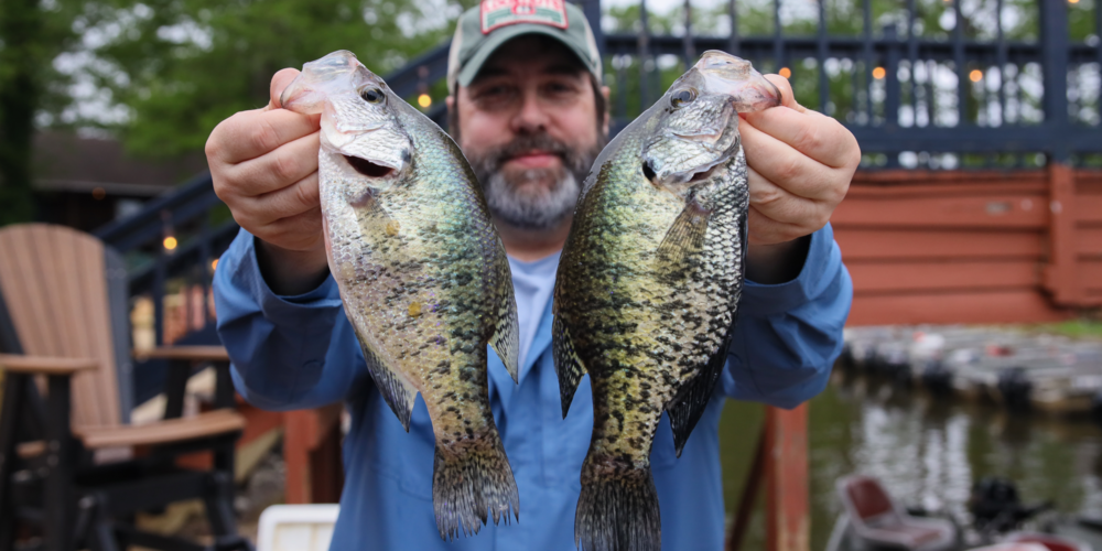 FISHING TOWNS: Legendary Reelfoot Lake offers the crappie and bluegill experience of a lifetime