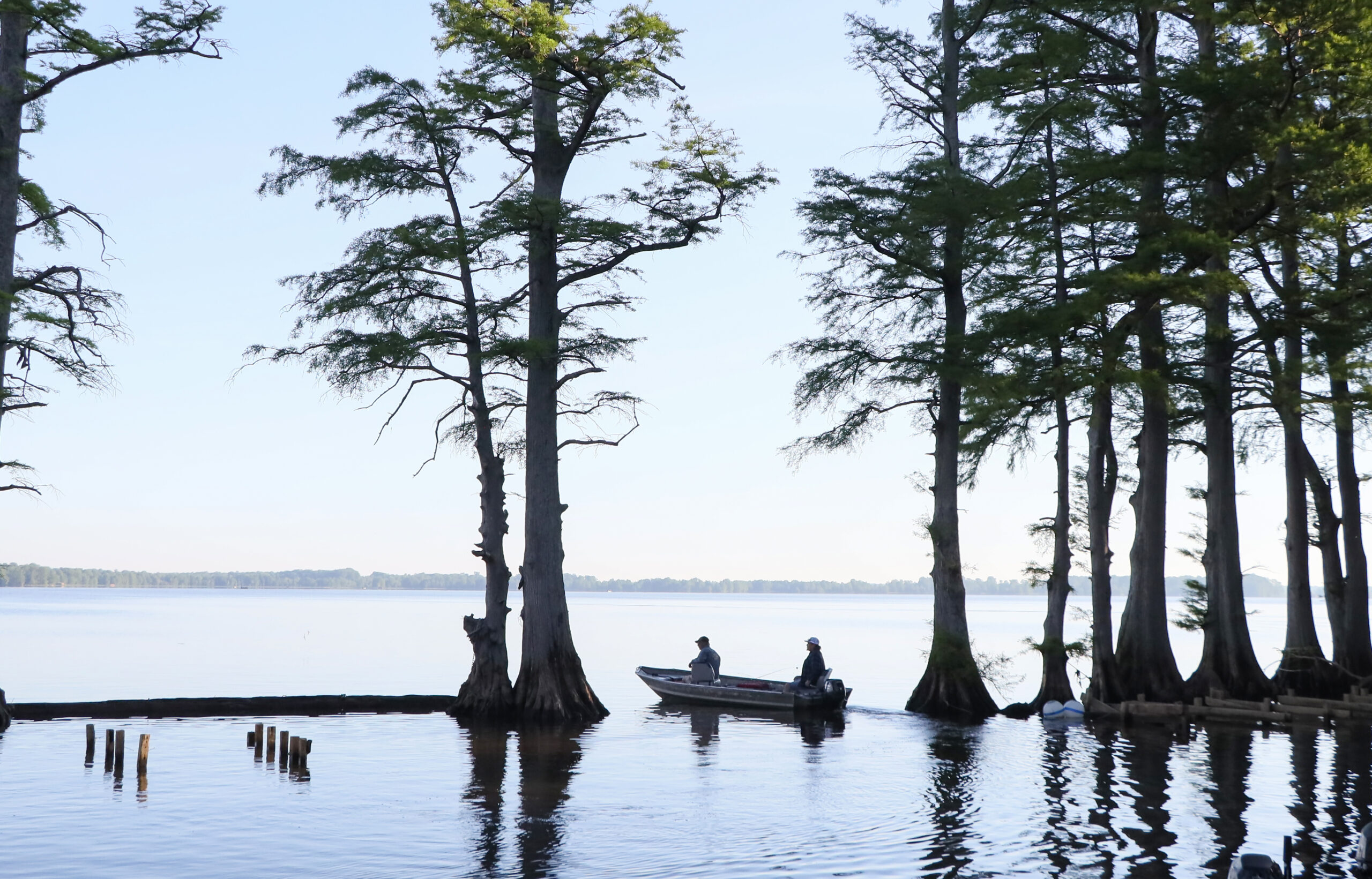 Reelfoot silhouette 1