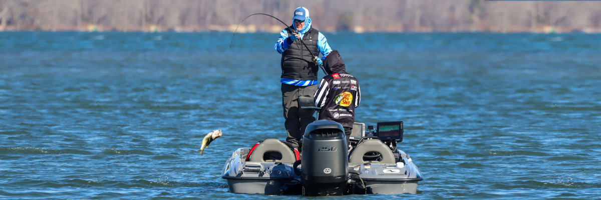 MLF Mark Davis