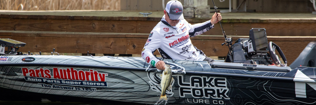 MLF Jeff Sprague