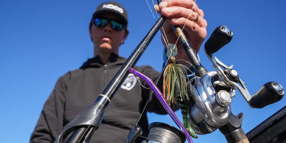 Image for Top 10 baits from the Harris Chain