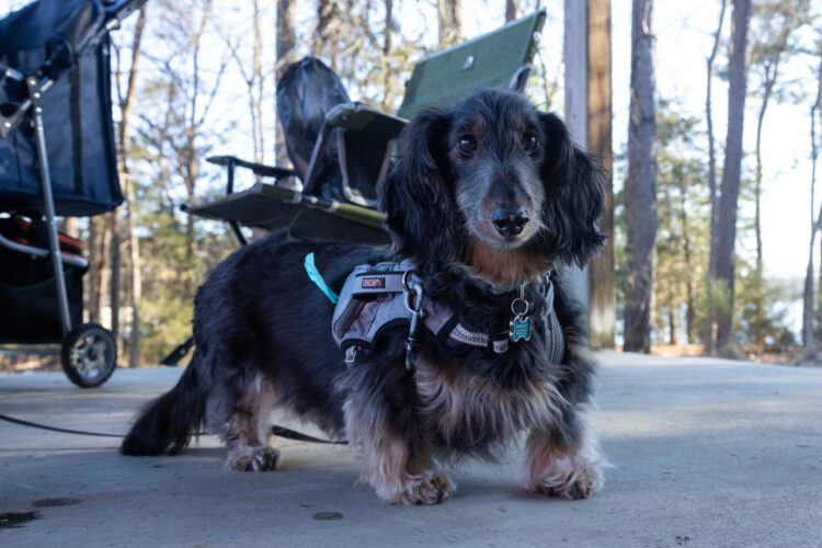 Image for GALLERY: Weighing them up on Day 2 at Lake Murray
