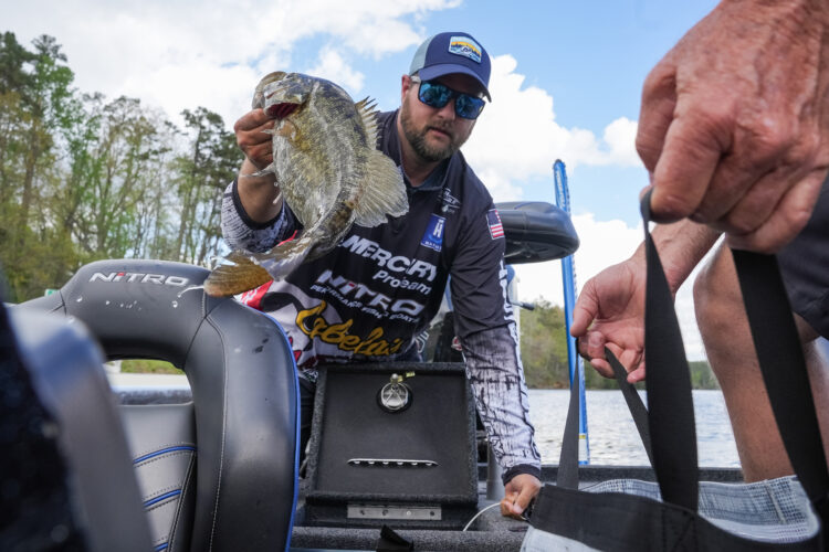 Image for GALLERY: Pickwick produces more big bass on Day 2
