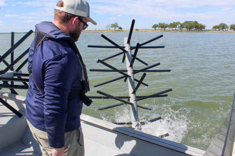 Image for MLF FMD project on Lake Waco supports continued fishing opportunity