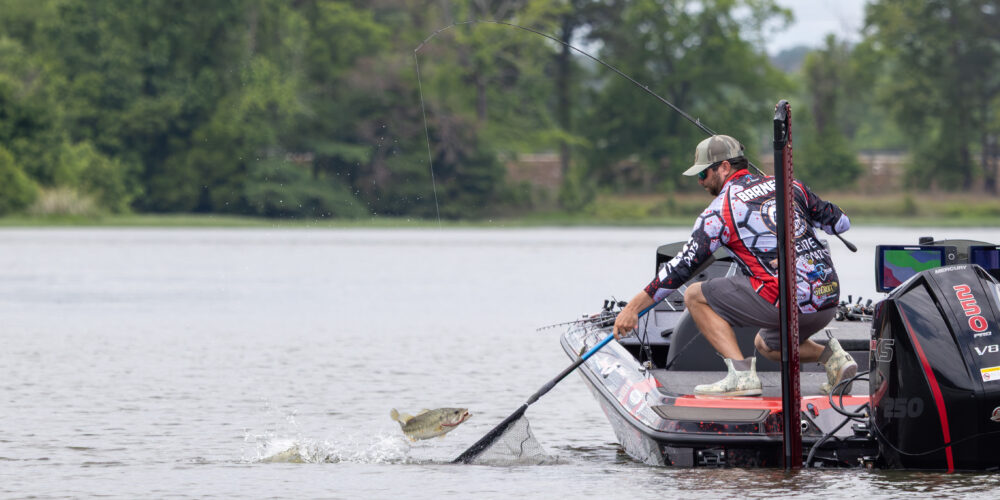 Image for Summertime bite could be firing at Eufaula