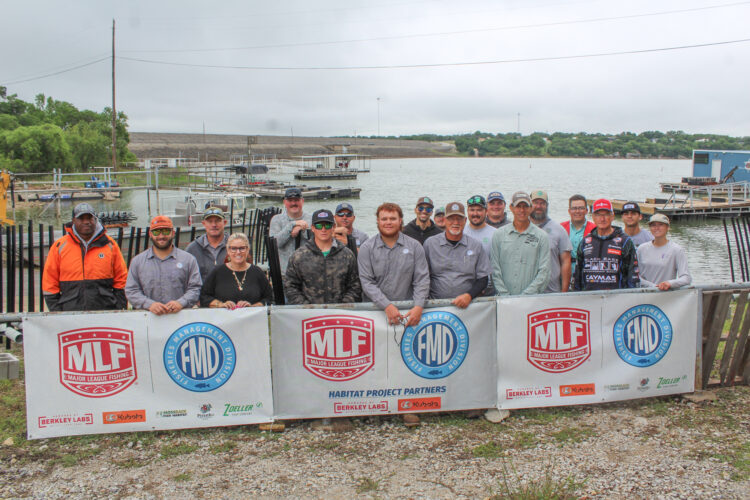 Image for GALLERY: Habitat enhancement project benefits Lake Brownwood with Tournament Recovery Zones