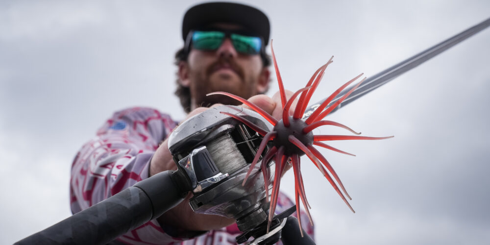 Image for Top 10 baits from the Toyota Series at Lake Seminole