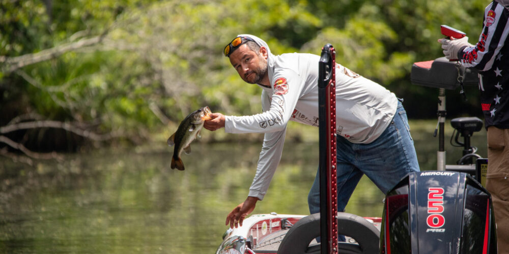Image for Potomac healthy and ready for first BFL of the year