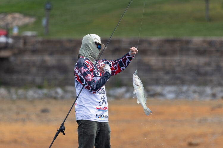 Image for GALLERY: Tracking down the biggest bass on Douglas Lake