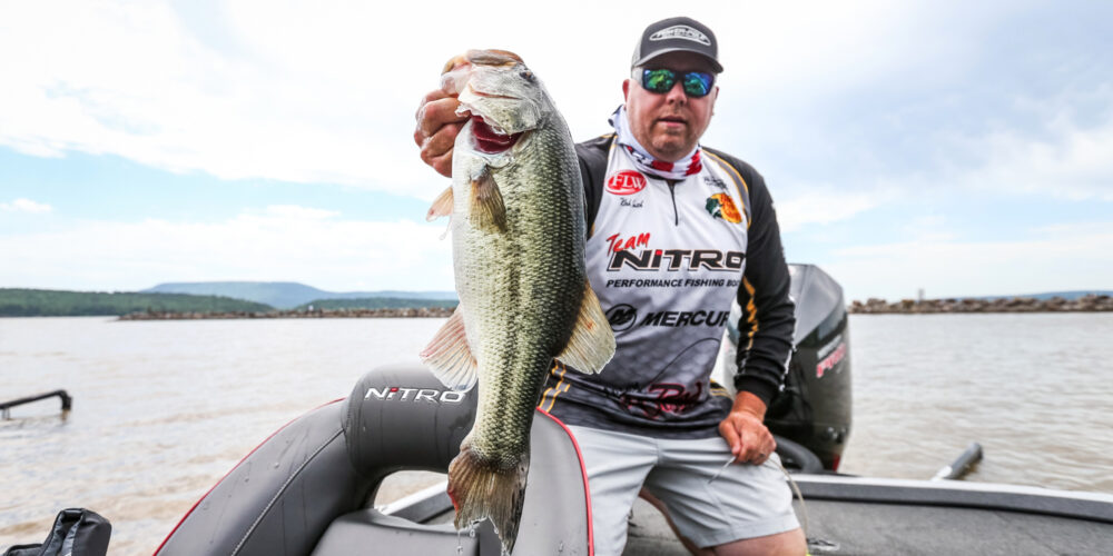 Top 10 baits from the Toyota Series on Lake Champlain - Major