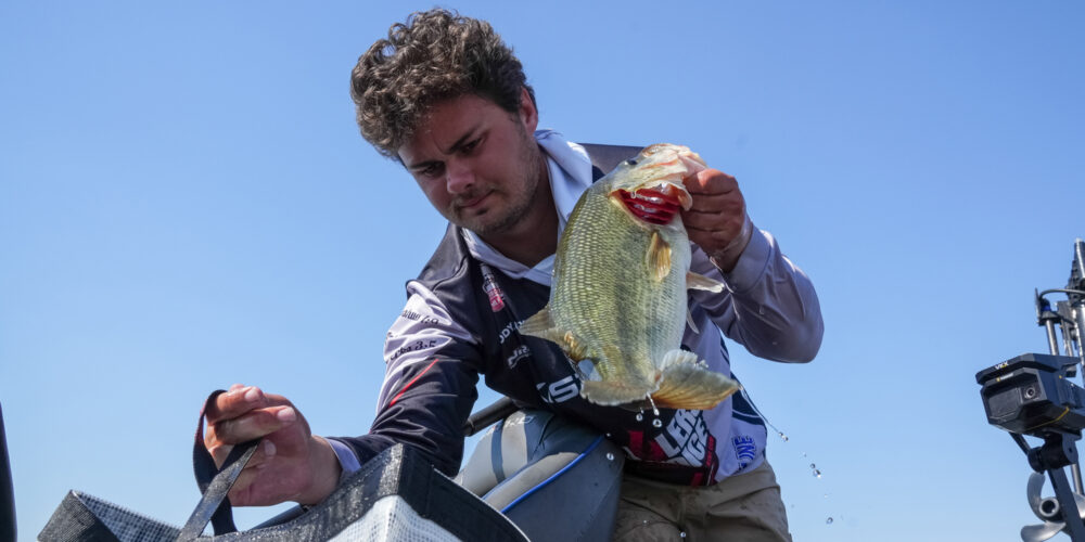 Image for Ever-dynamic James River ready for back-to-back events