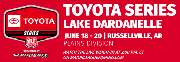 Lake Dardanelle