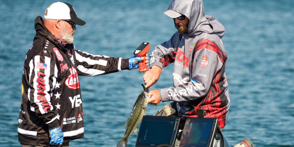 Image for Lake Erie set for Bass Pro Tour Suzuki Marine Stage 7 Presented by B&W Trailer Hitches
