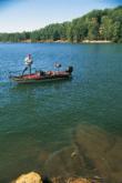 An angler aims for wood cover to get to the root of the lake