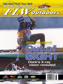 Image for Clark Wendlandt: out of sight