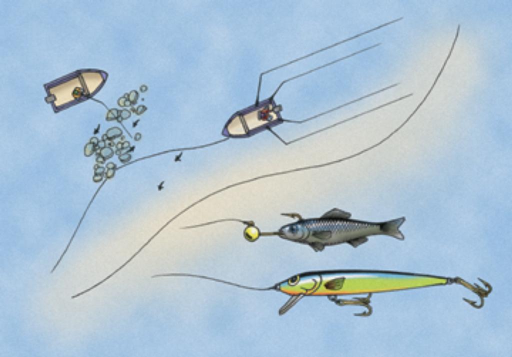 Your walleye lures are way too small—and this simple scientific