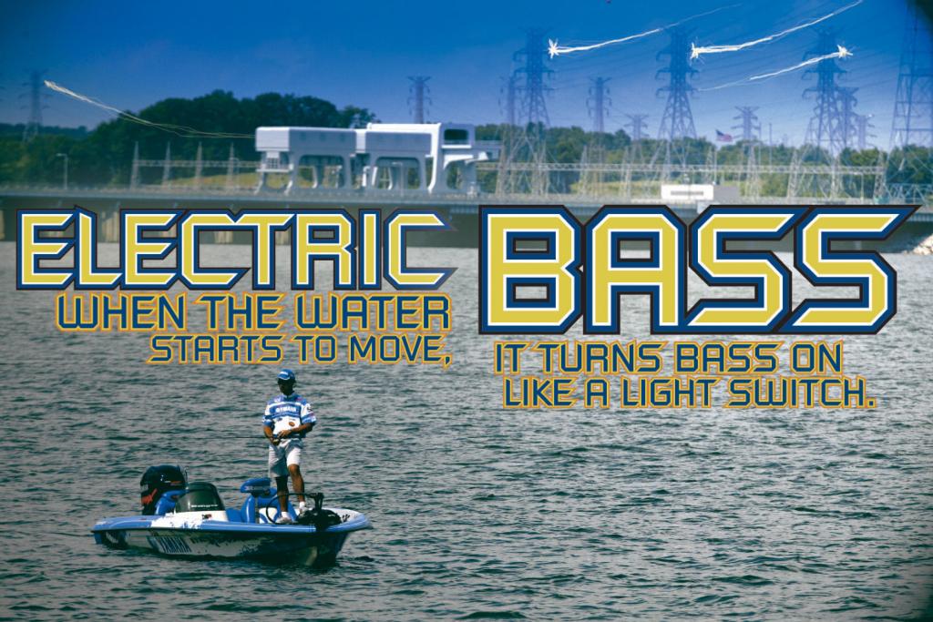 Image for Electric bass