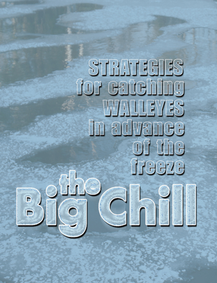 Image for The big chill