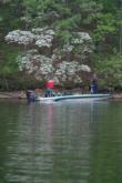 Blooming dogwoods are covering the bank at Lake of the Ozarks this week.