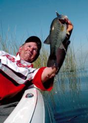 EverStart pro Mike Folkestad said bass-fishing depth on a tidal system is based on how much tidal movement exists. 