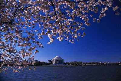 Image for Wal-Mart FLW Tour to visit Potomac River