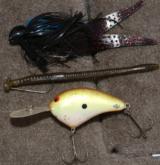 Gagliardi's winnings lures: An All Terrain Tackle jig, a Brian's Bees B-10 crankbait and a finesse worm on a Spot Remover jighead.