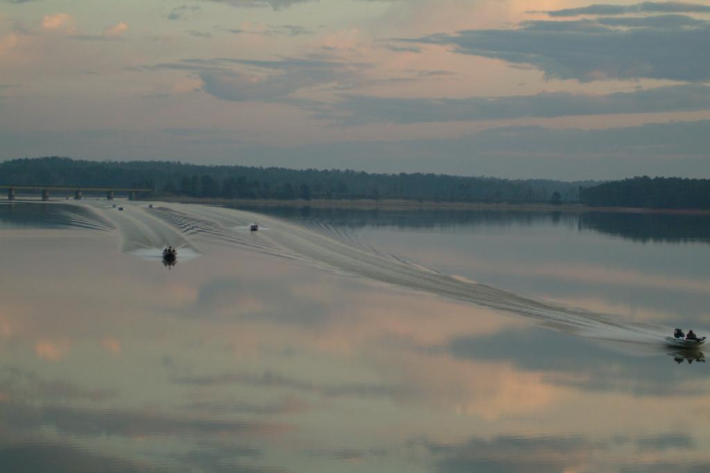 Image for Chevy Wild Card set for West Point Lake