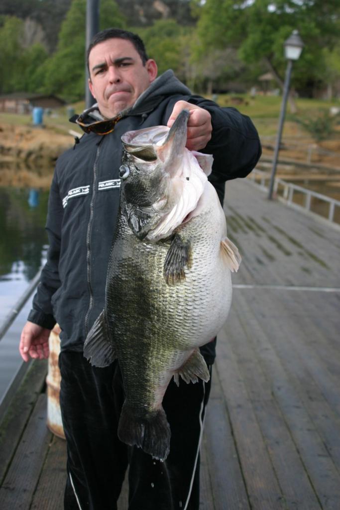 Potential new largemouth record caught in California and released