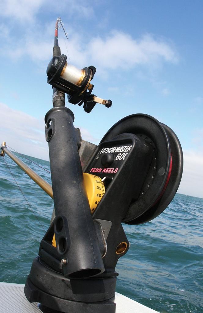 Ever Wondered How to Use A Downrigger More Efficiently? Here's How!