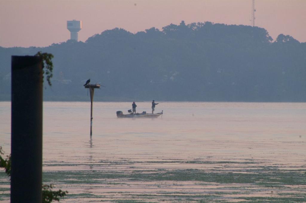 Image for Decision time on the Potomac
