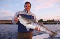 Big stripers tend to migrate more than small stripers. Mature stripers often migrate from Maine to North Carolina.