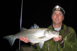 Drifting bucktails and plugs around bridge pilings is a great way to take small- and medium-sized stripers, such as this 9-pounder the author, Mark Taylor, caught during Thanksgiving week.